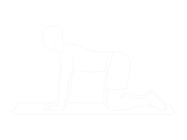 All Fours Squad Stretch — Start