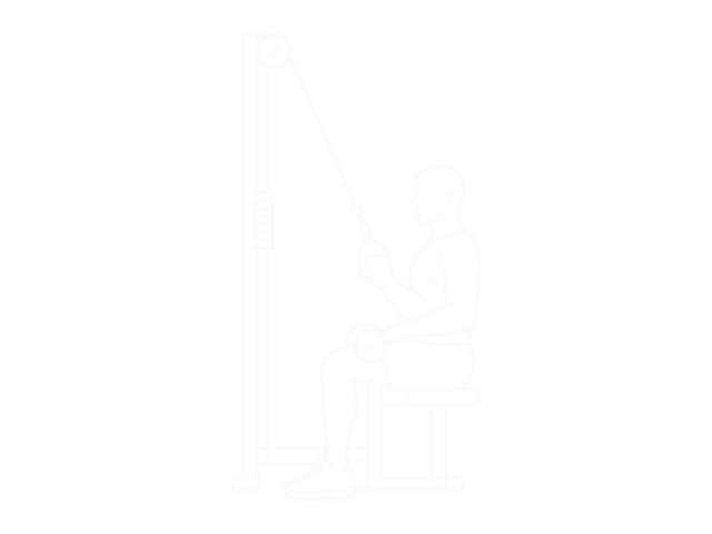 Alternate Lateral Pulldown — End