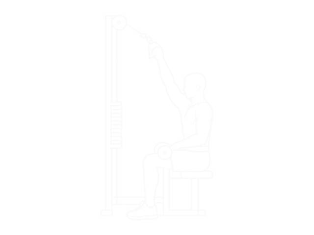 Alternate Lateral Pulldown — Start
