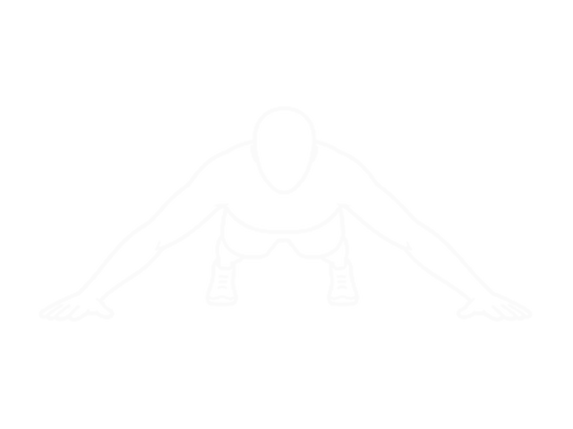 Archer Push-Up — 시작