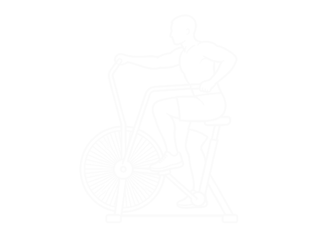 Assault Bike — Start