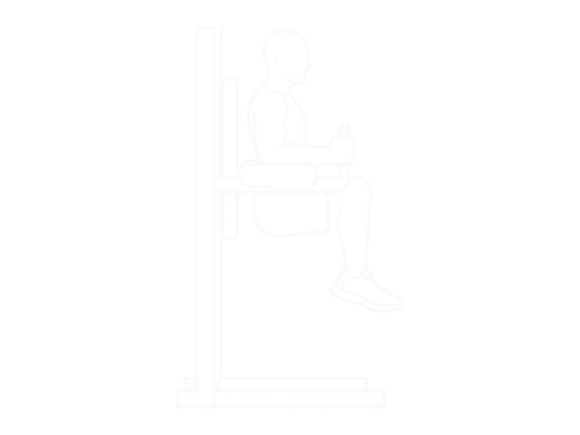 Assisted Hanging Knee Raise — End