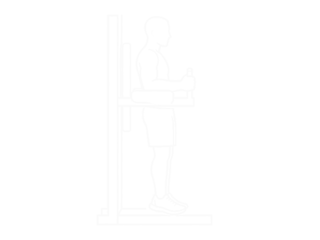 Assisted Hanging Knee Raise — Start