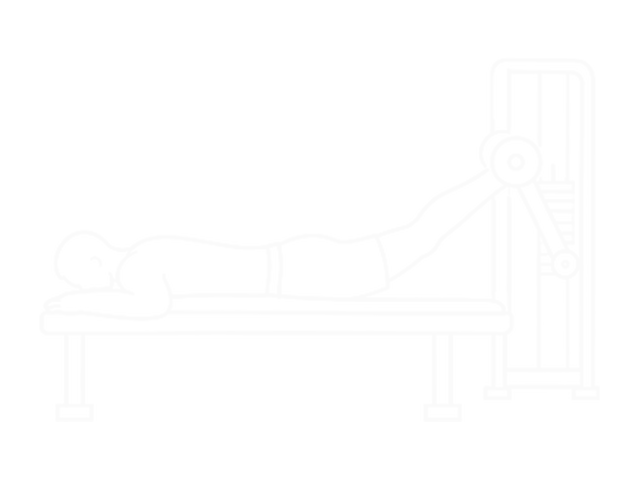 Assisted Prone Hamstring — End
