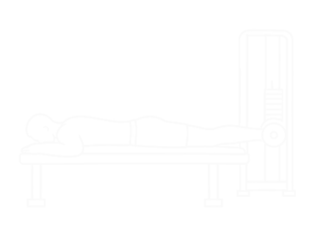Assisted Prone Hamstring — Start