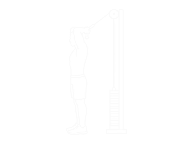 Assisted Standing Triceps Extension (With Towel) — End