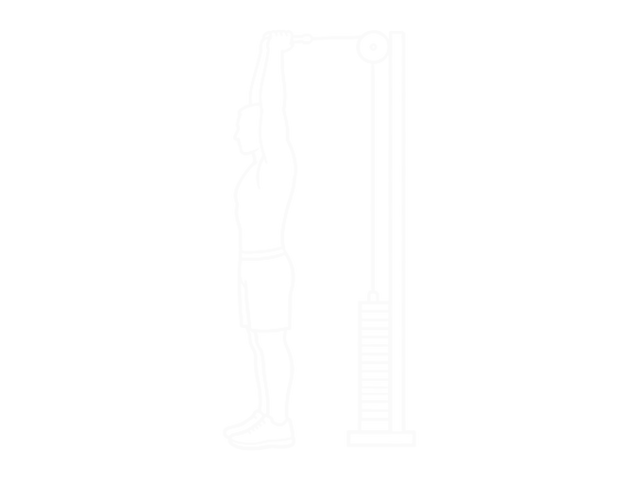 Assisted Standing Triceps Extension (With Towel) — Start