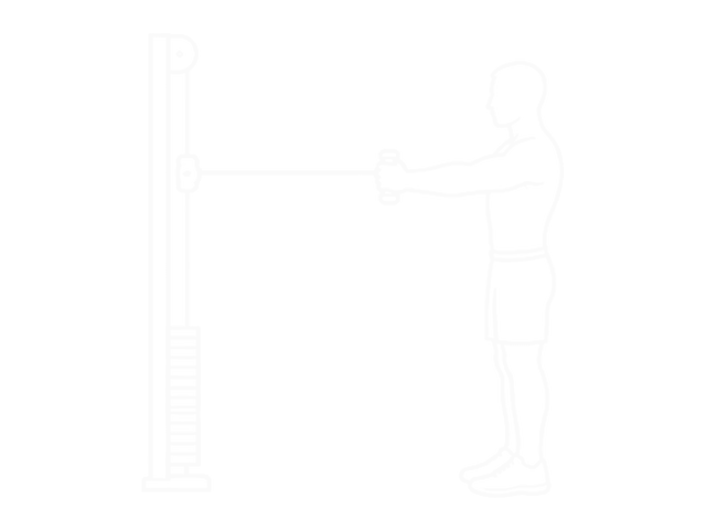 Band Horizontal Pallof Press — 끝