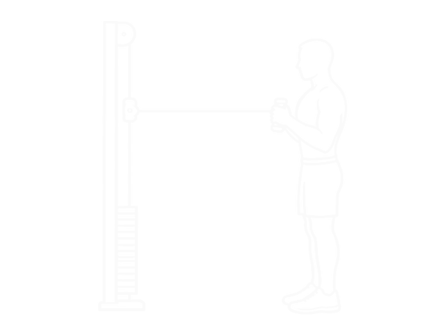 Band Horizontal Pallof Press — 시작