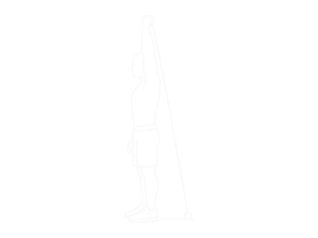 Overhead One-Arm Band Biceps Curl — Start