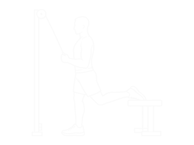 Band One-Arm Single-Leg Split Squat — End