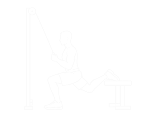 Band One-Arm Single-Leg Split Squat — Start