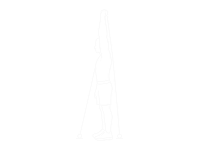 Band Side Triceps Extension — 끝