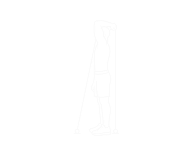 Band Side Triceps Extension — 시작