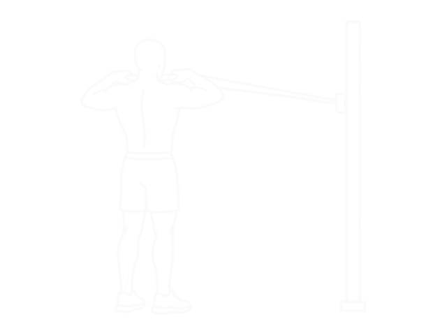 Standing Band Rear Delt Row — End