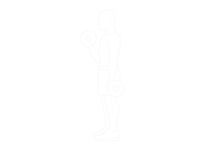 Barbell Alternate Biceps Curl — End