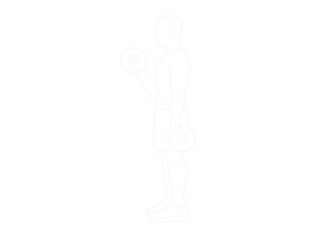 Barbell Alternate Biceps Curl — Start