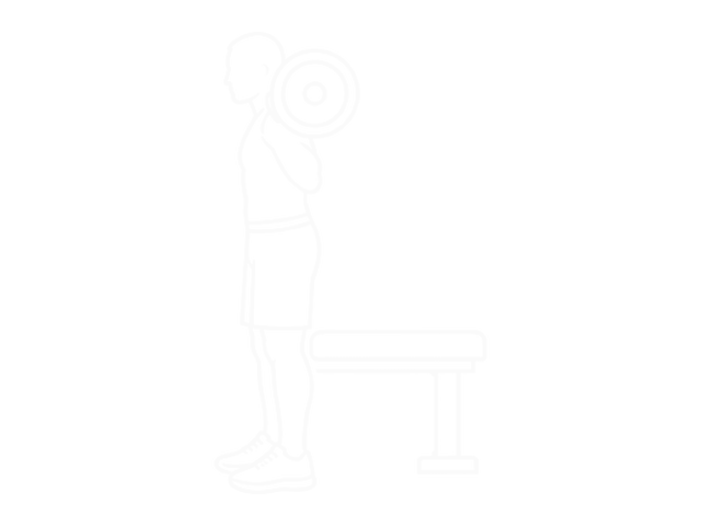 Barbell Bench Squat — 시작