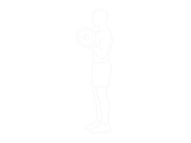 Barbell Curl — End