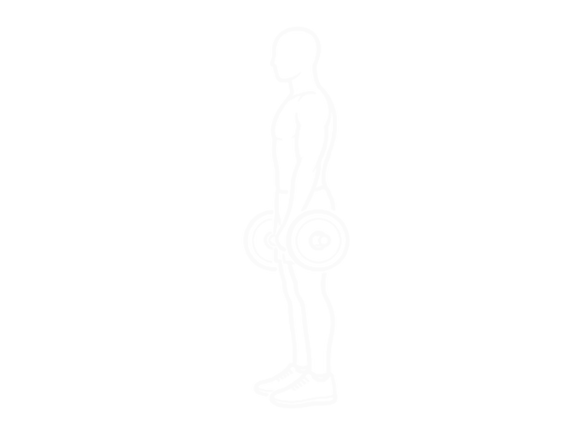 Barbell Curl — Start