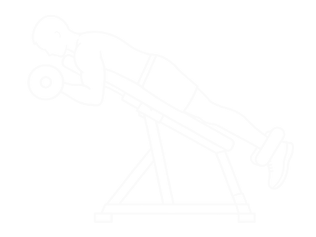 Prone Incline Barbell Curl — 끝