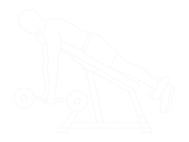 Prone Incline Barbell Curl — 시작