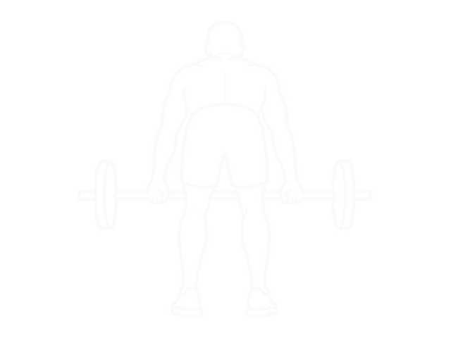 Barbell Rear Delt Raise — Start
