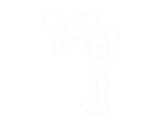 Barbell Rear Delt Row — End