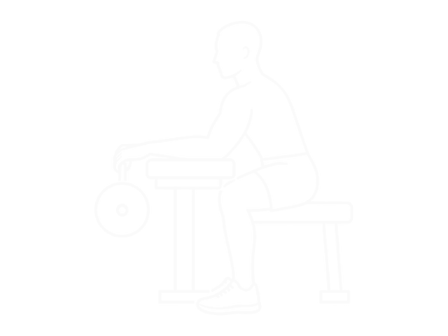 Barbell Revers Wrist Curl — Start
