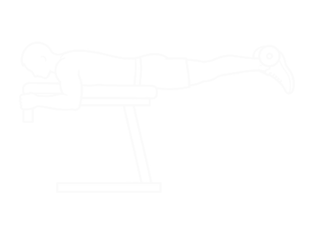 Barbell Reverse Extension — End