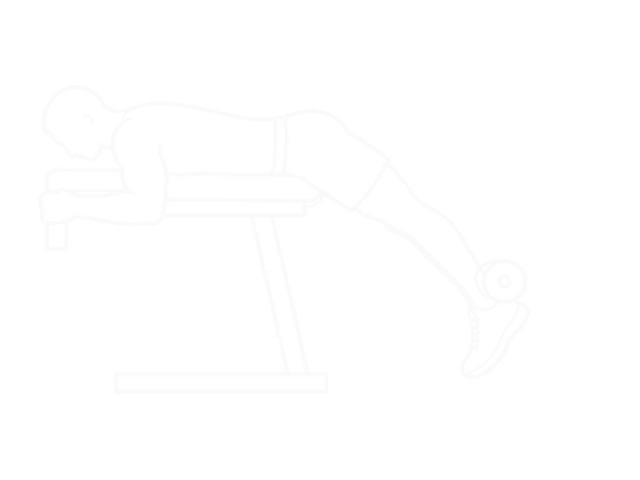 Barbell Reverse Extension — Start