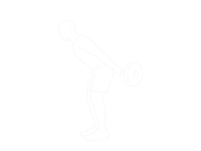 Barbell Skier — 끝