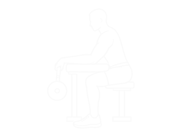 Standing Barbell Back Wrist Curl — 시작