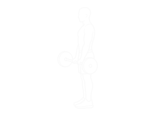 Standing Barbell Close-Grip Curl — 시작