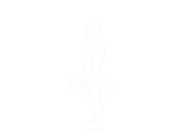 Standing Barbell Front Raise Over Head — Start