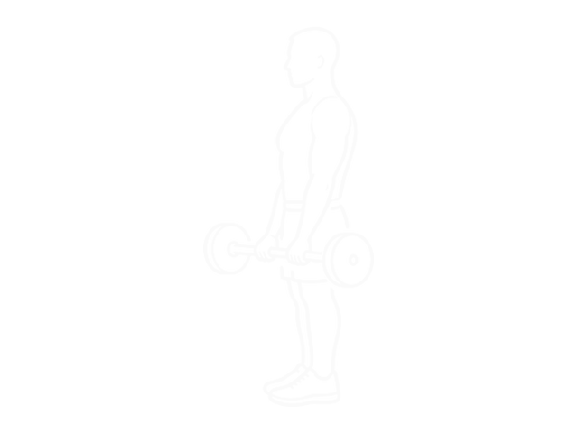 Standing Barbell Reverse-Grip Curl — Start