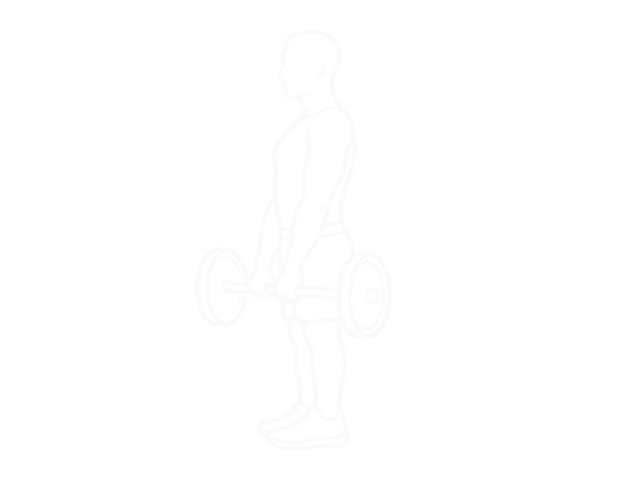 Barbell Upright Row — Start