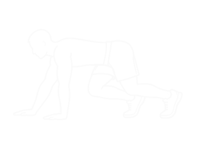 Bear Crawl — Start