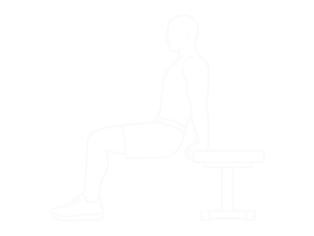 Bench Dip (Knees Bent) — Start