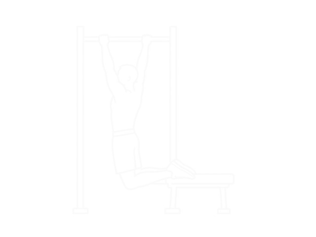 Bench Pull-Ups — Start