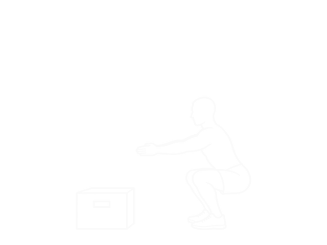 Bodyweight Drop Jump Squat — 끝