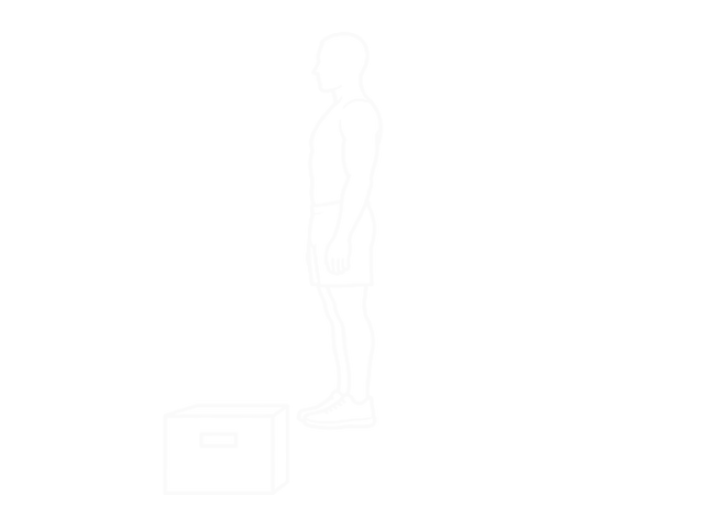 Bodyweight Drop Jump Squat — 시작