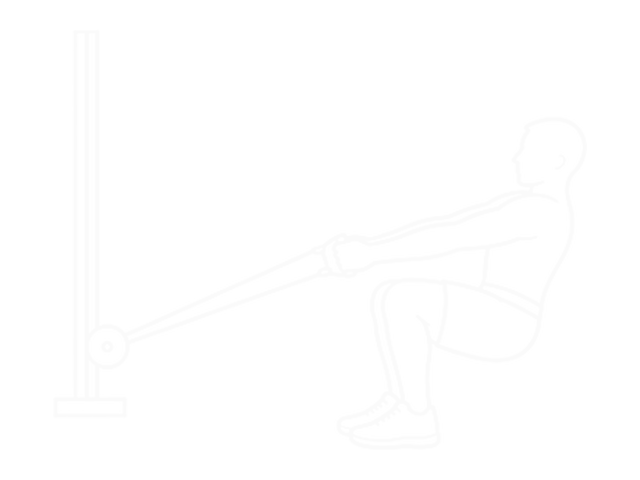 Bodyweight Squatting Row — 시작