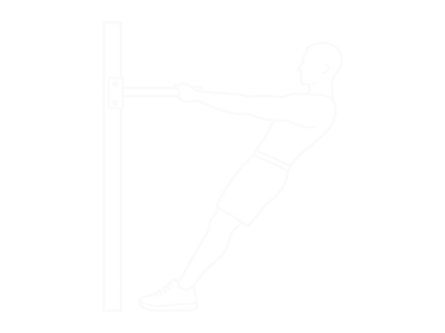 Bodyweight Standing Row — 시작