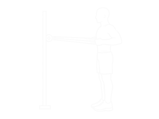 Bodyweight Standing Row (With Towel) — End
