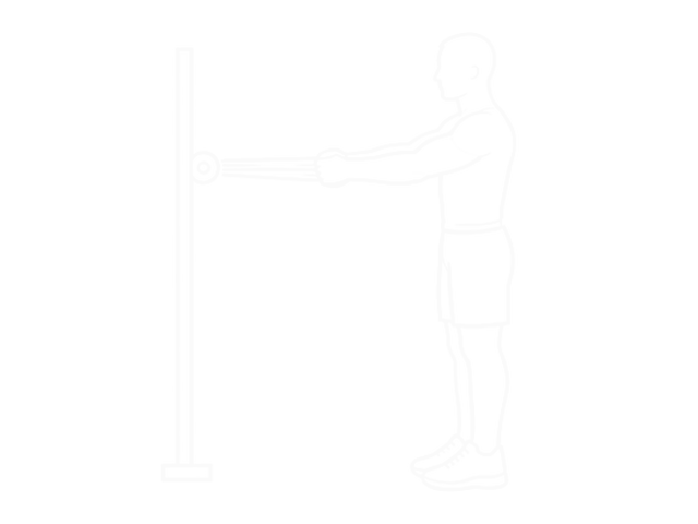 Bodyweight Standing Row (With Towel) — Start