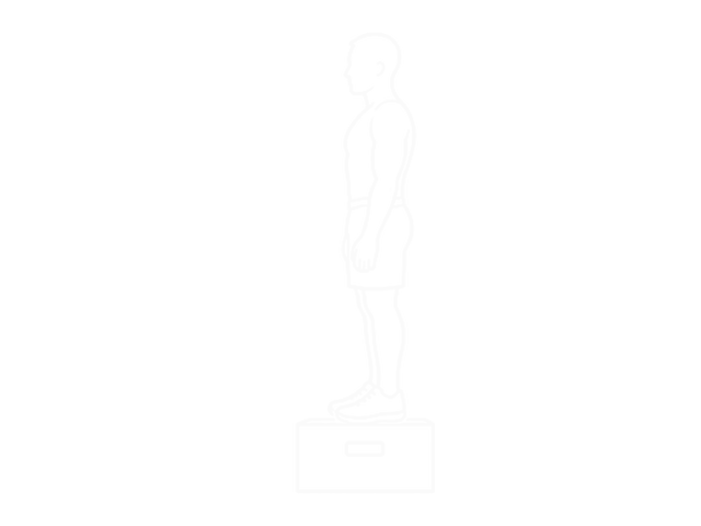 Box Jump Down with One-Leg Stabilization — Start