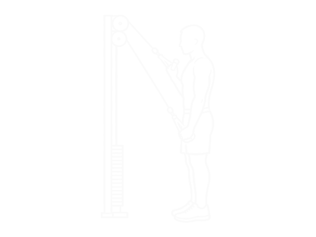 Cable Alternate Triceps Extension — End