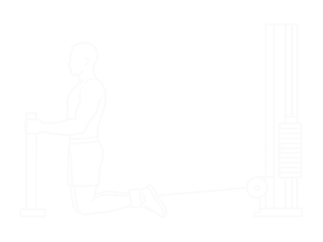Cable Assisted Inverse Leg Curl — Start