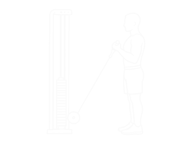 Cable Close-Grip Curl — End